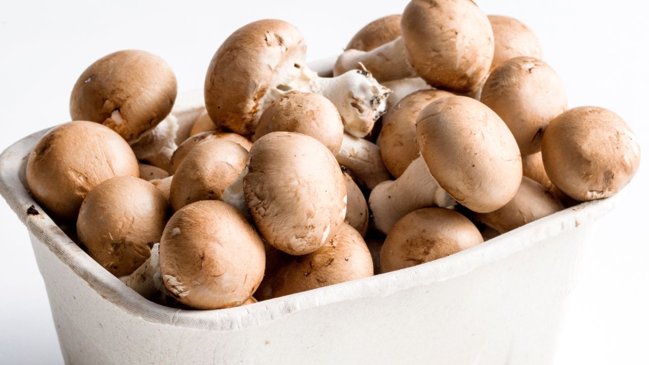 Hoe bewaar ik champignons Spar Colruyt